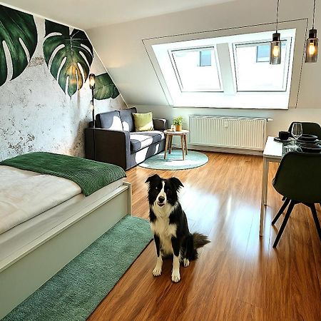 Homely Stay Serenity Greens - Stylisch Studio-Apartment With Kitchen - 10 Min To Central Station, Pet Friendly München Eksteriør billede