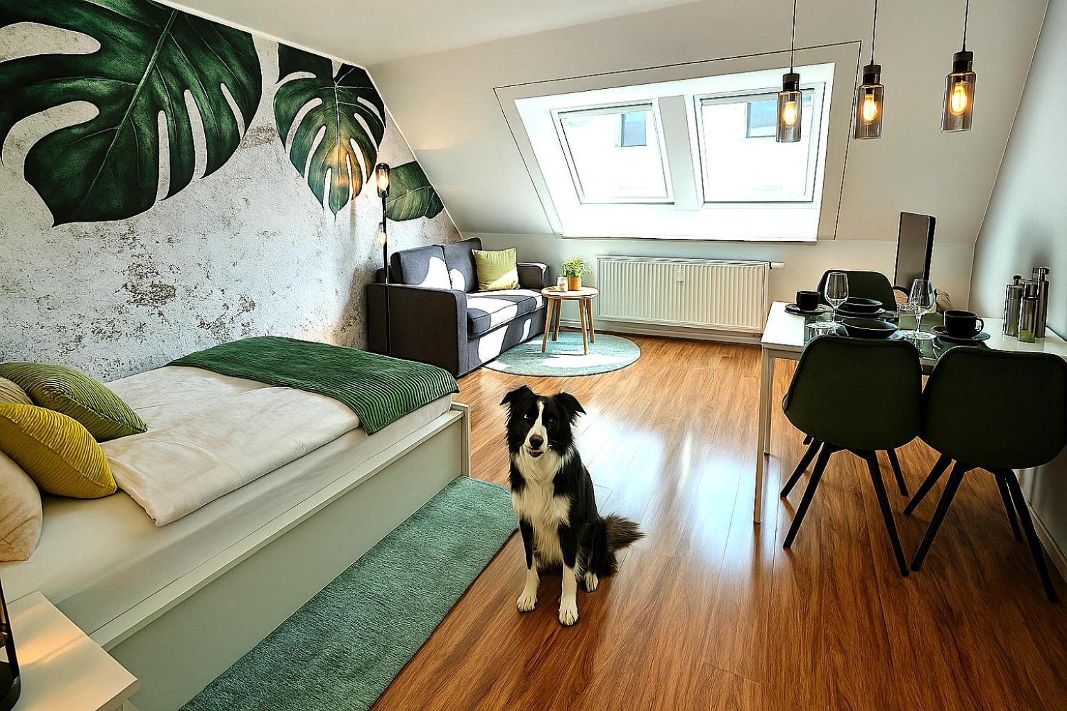 Homely Stay Serenity Greens - Stylisch Studio-Apartment With Kitchen - 10 Min To Central Station, Pet Friendly München Eksteriør billede
